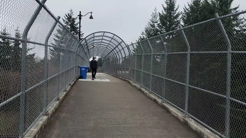 Mayme Shaddock Park - Napavine, WA