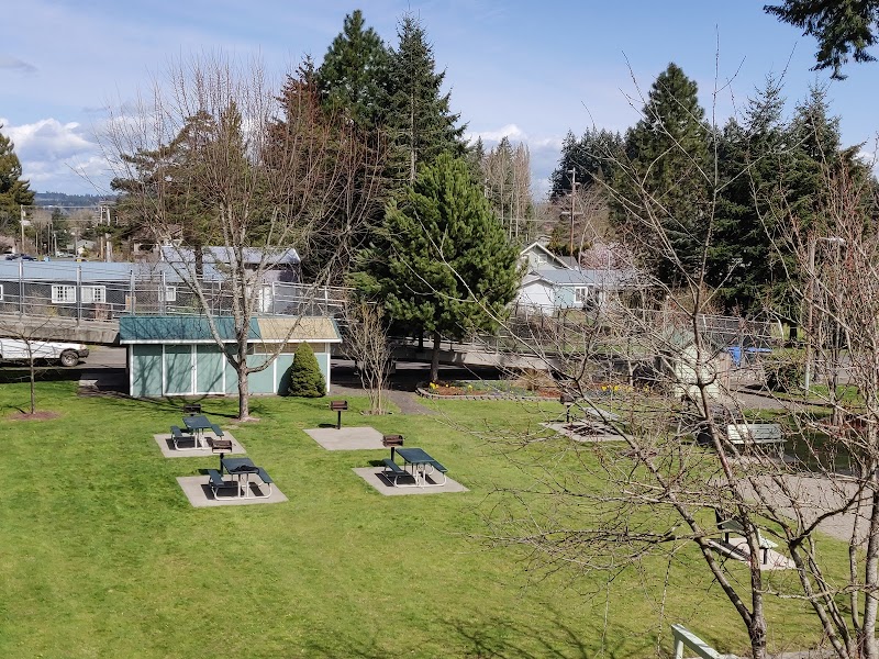 Mayme Shaddock Park - Napavine, WA