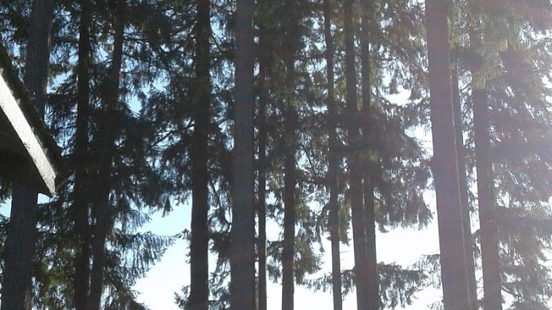 Mayme Shaddock Park - Napavine, WA