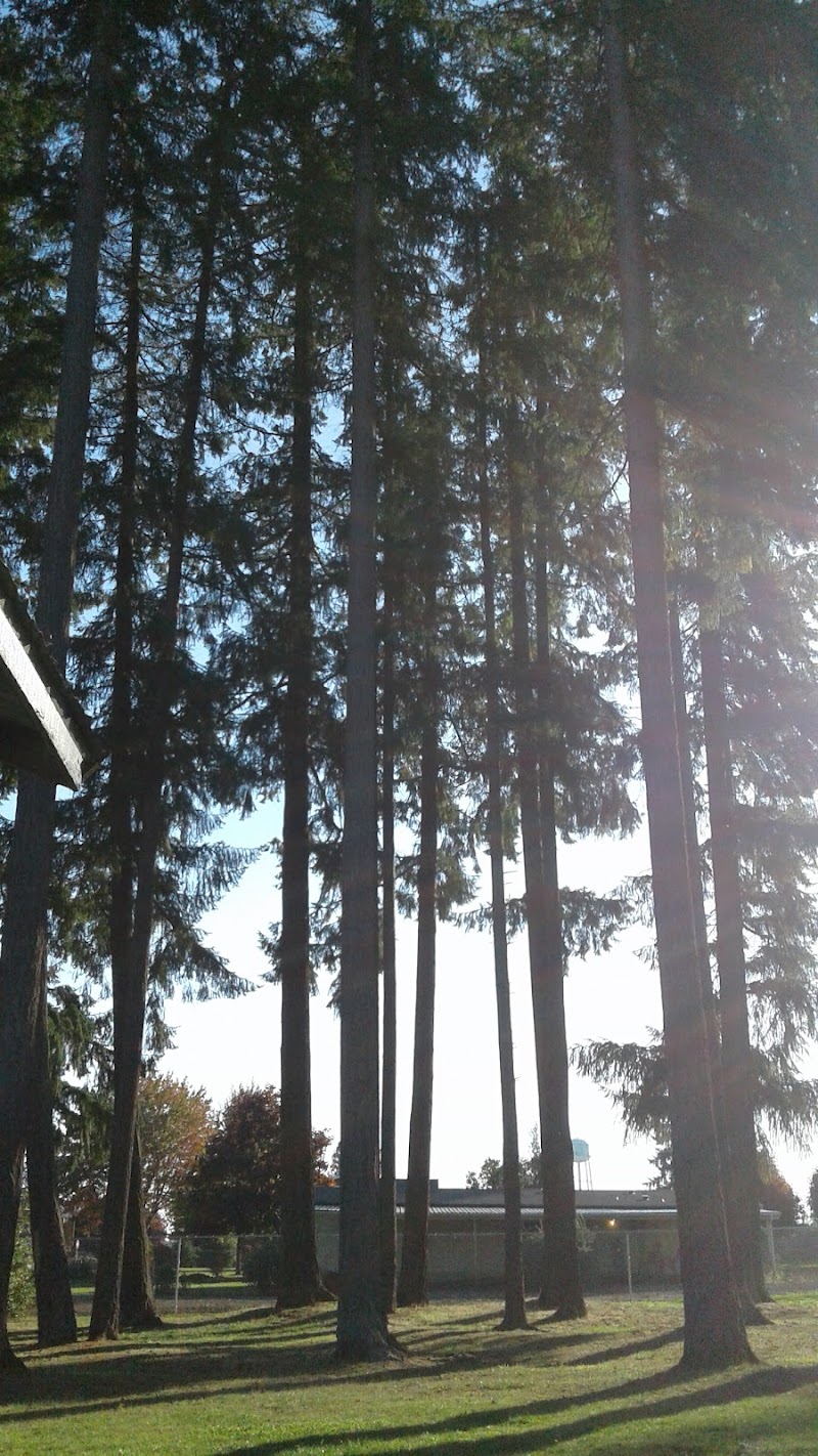 Mayme Shaddock Park - Napavine, WA