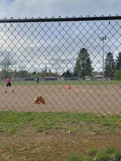 Napavine Community Park - Napavine, WA