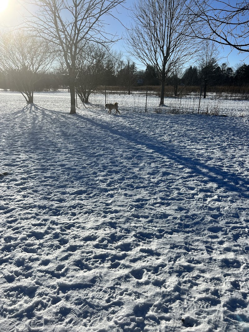 Greene Valley Dog Park - Naperville, IL