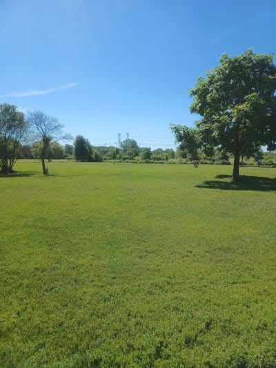 Greene Valley Dog Park - Naperville, IL