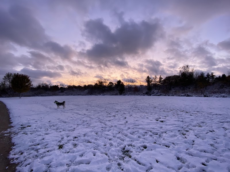 Greene Valley Dog Park - Naperville, IL