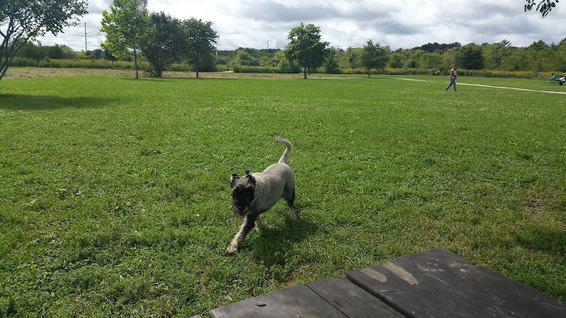 Greene Valley Dog Park - Naperville, IL