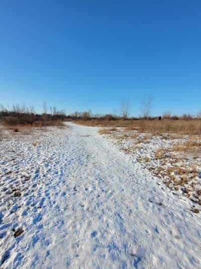 Springbrook Prairie Dog Park - Naperville, IL