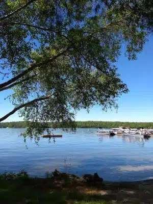 Brandy Pond Park