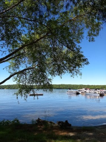Brandy Pond Park
