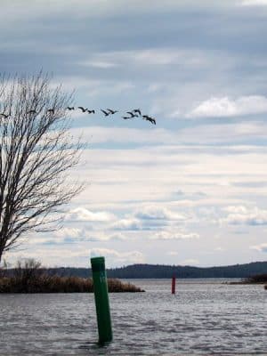Sebago Lake State Park Campground