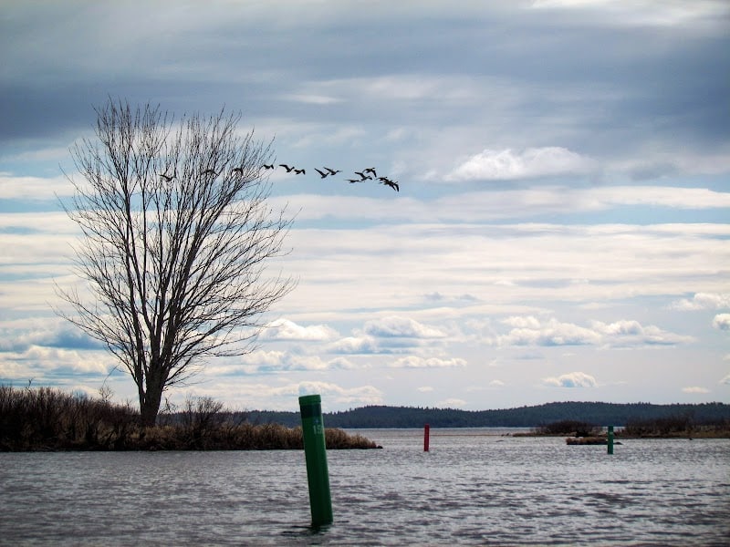 Sebago Lake State Park Campground - Naples, ME