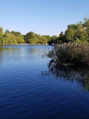Centennial Dog Park