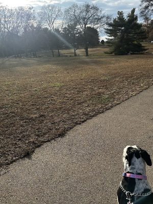 Two Rivers Dog Park