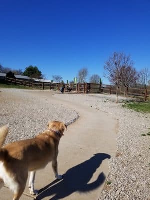 Two Rivers Dog Park