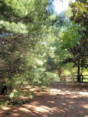 Two Rivers Dog Park