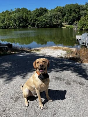 Nauvoo State Park