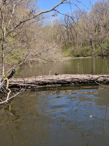 Nauvoo State Park