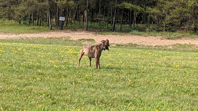 Room To Roam Dog Park - Nekoosa, WI