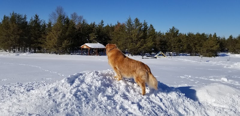 Room To Roam Dog Park - Nekoosa, WI