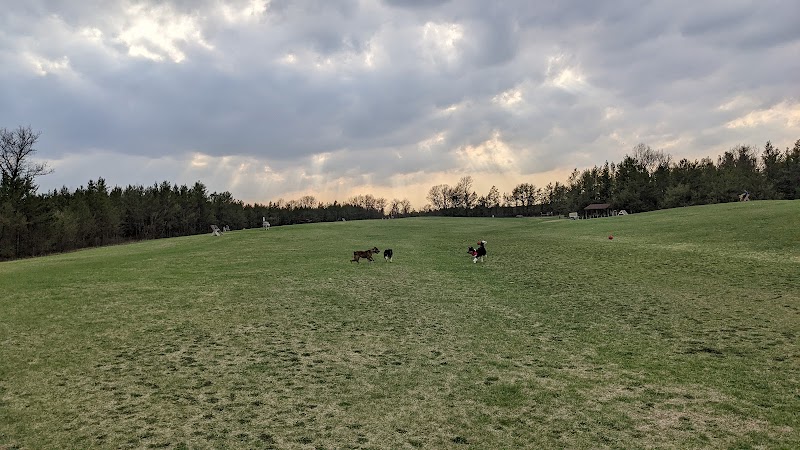 Room To Roam Dog Park - Nekoosa, WI