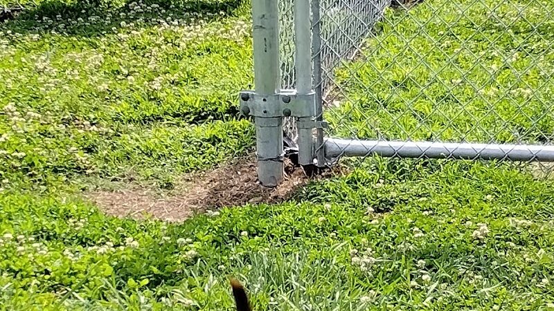 Scenic Park - Dog Park - Neosho, MO