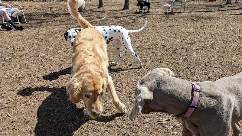 Smithtown Nesconset Dog Park - Nesconset, NY