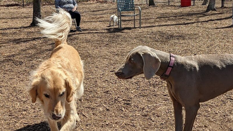 Smithtown Nesconset Dog Park - Nesconset, NY