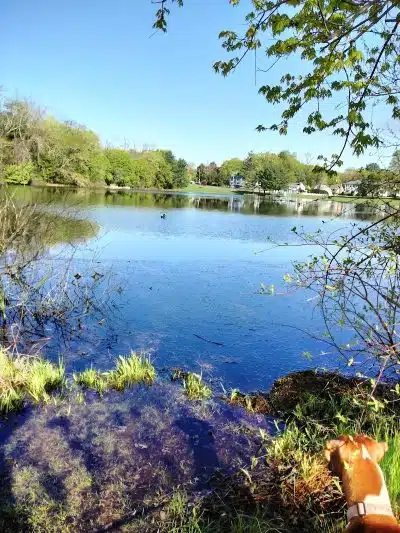 Martha Hart park - New Britain, CT