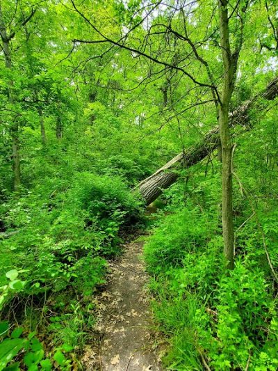 Martha Hart park - New Britain, CT