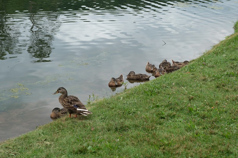 Stanley Quarter Park - New Britain, CT
