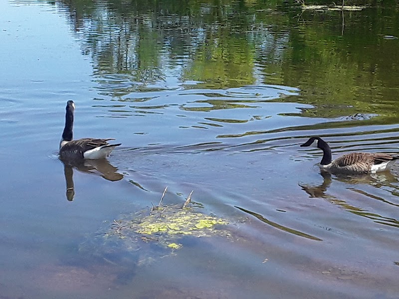 Stanley Quarter Park - New Britain, CT