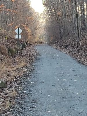 Tunnel Hill State Trail parking & trailhead