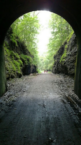 Tunnel Hill State Trail parking & trailhead - New Burnside, IL