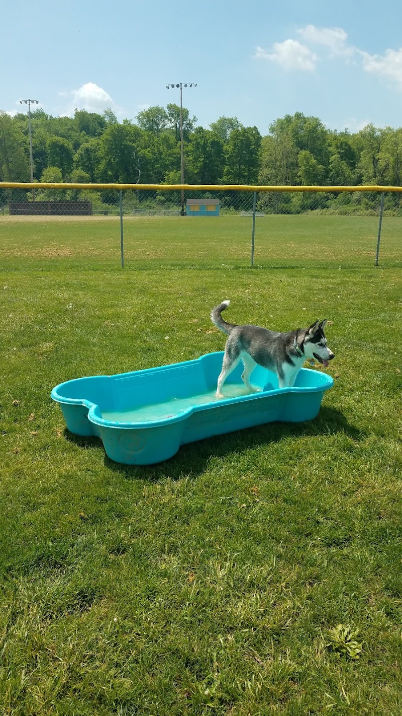 Hancock County Dog Park - New Cumberland, WV