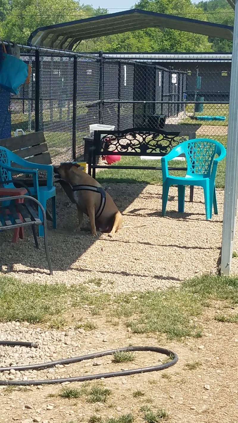 Hancock County Dog Park - New Cumberland, WV