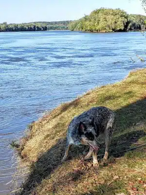 Harmonie State Park - New Harmony, IN