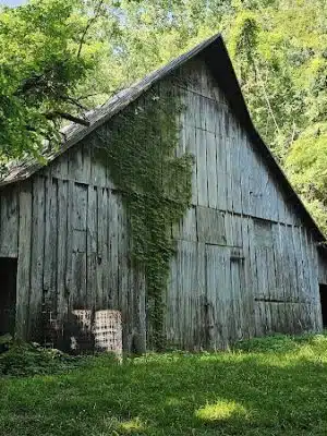 Harmonie State Park - New Harmony, IN