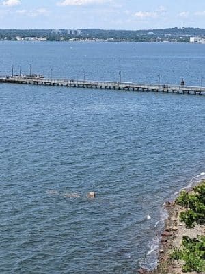 Fort Hale Dog Park
