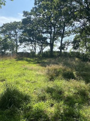 Fort Hale Dog Park