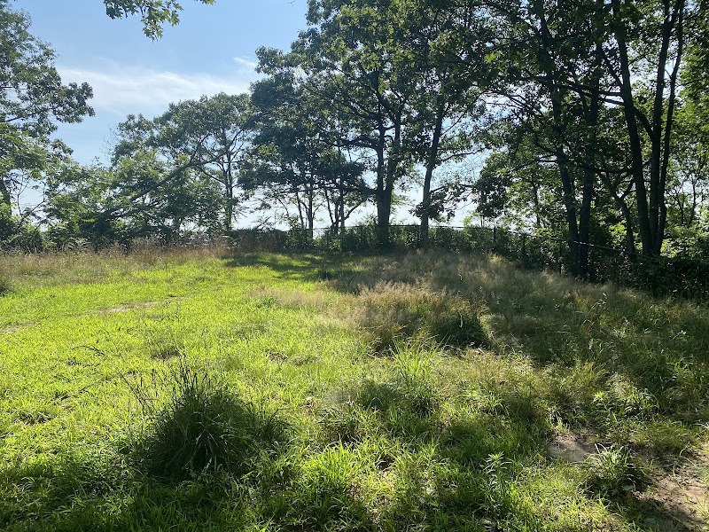 Fort Hale Dog Park - New Haven, CT
