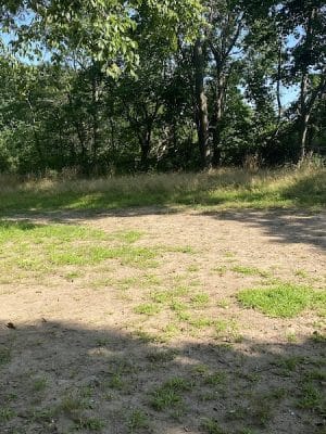 Fort Hale Dog Park