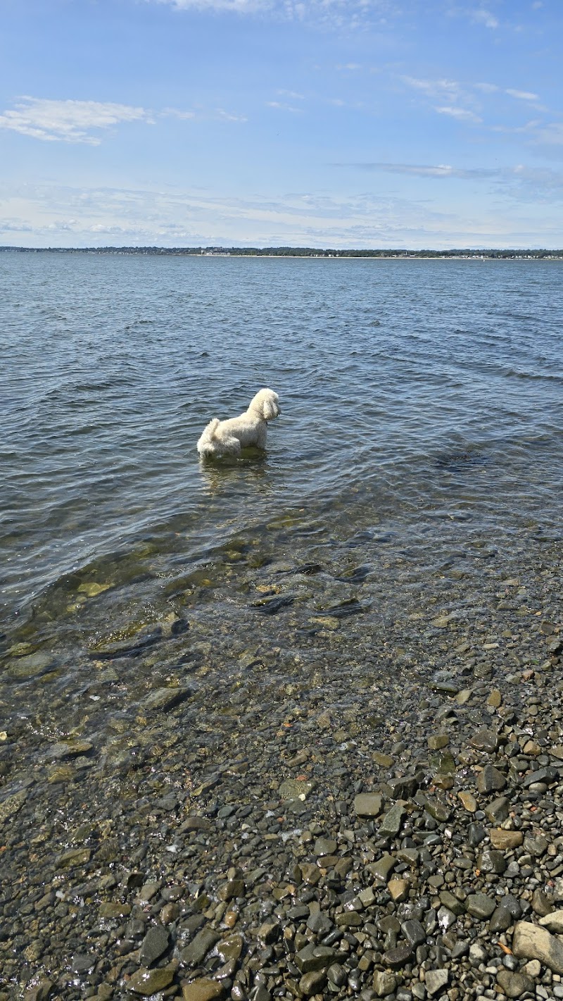 Fort Hale Dog Park - New Haven, CT