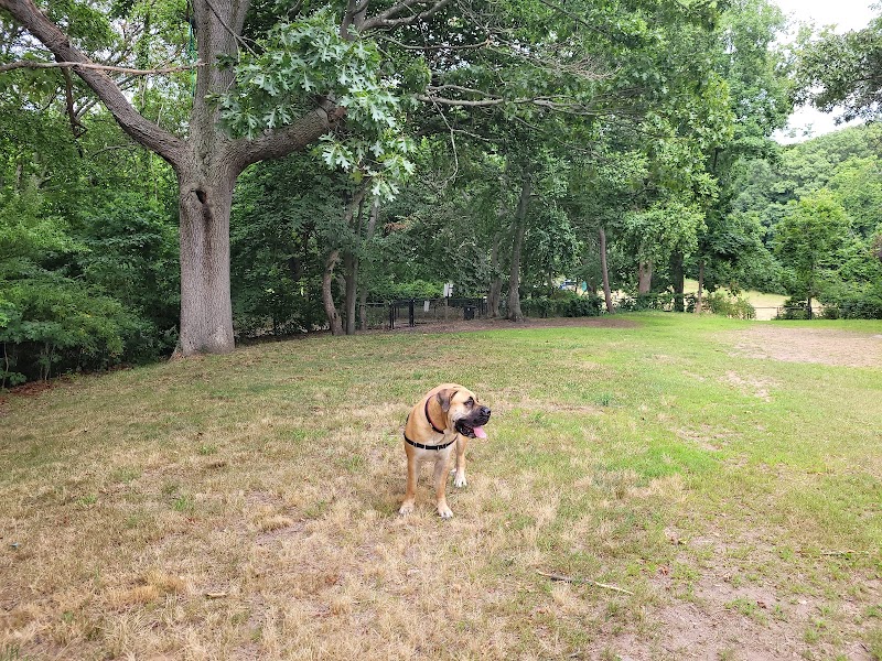 Fort Hale Dog Park - New Haven, CT
