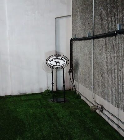 Dog Relief Area - New Orleans, LA