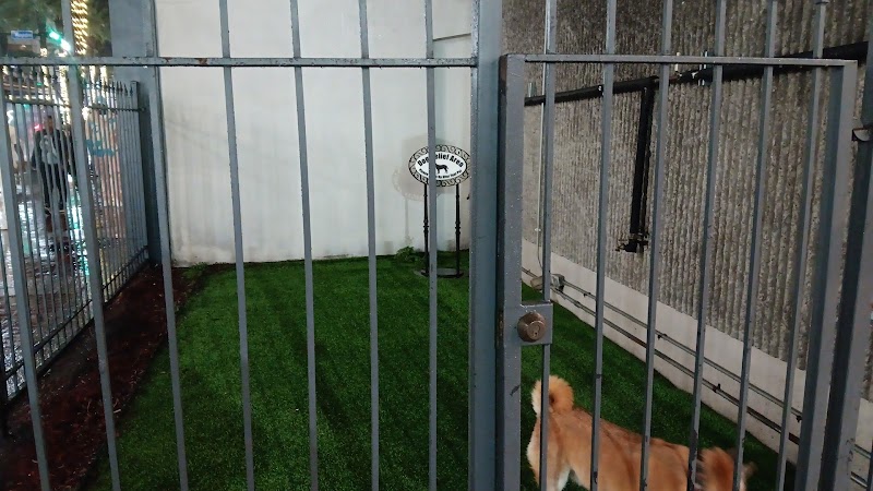 Dog Relief Area - New Orleans, LA