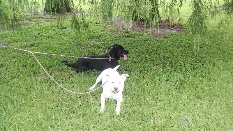 NOLA City Bark - New Orleans, LA