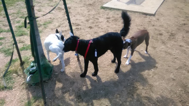 Wisner Dog Park - New Orleans, LA