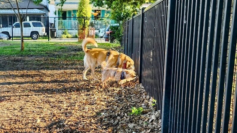 Wisner Dog Park - New Orleans, LA