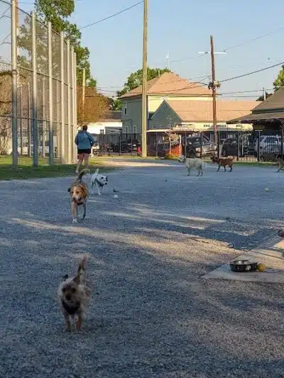Wisner Playground - New Orleans, LA