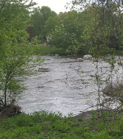 For Paws Of Ulster Dog Park - New Paltz, NY