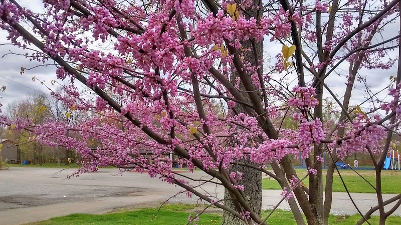 New Stanton Park - New Stanton, PA